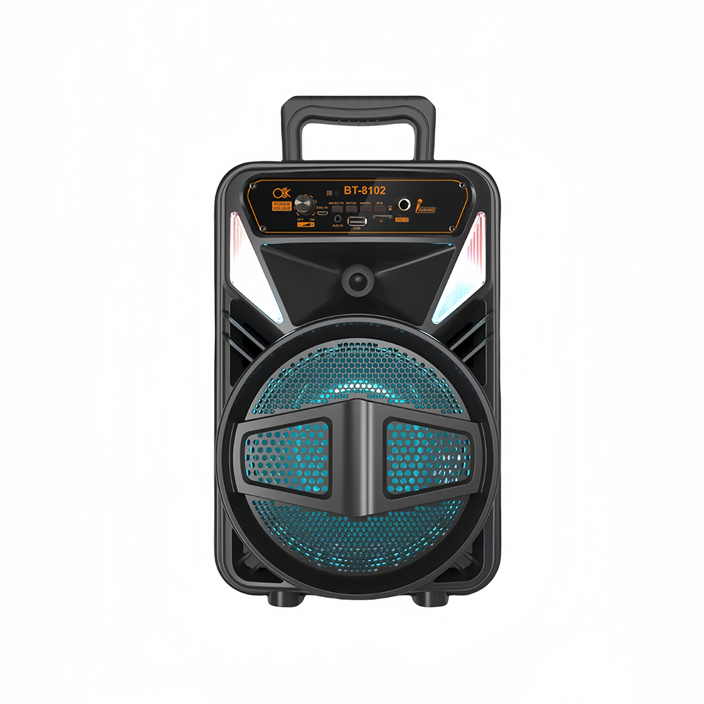 Cassa Bluetooth Portatile Karaoke 15W