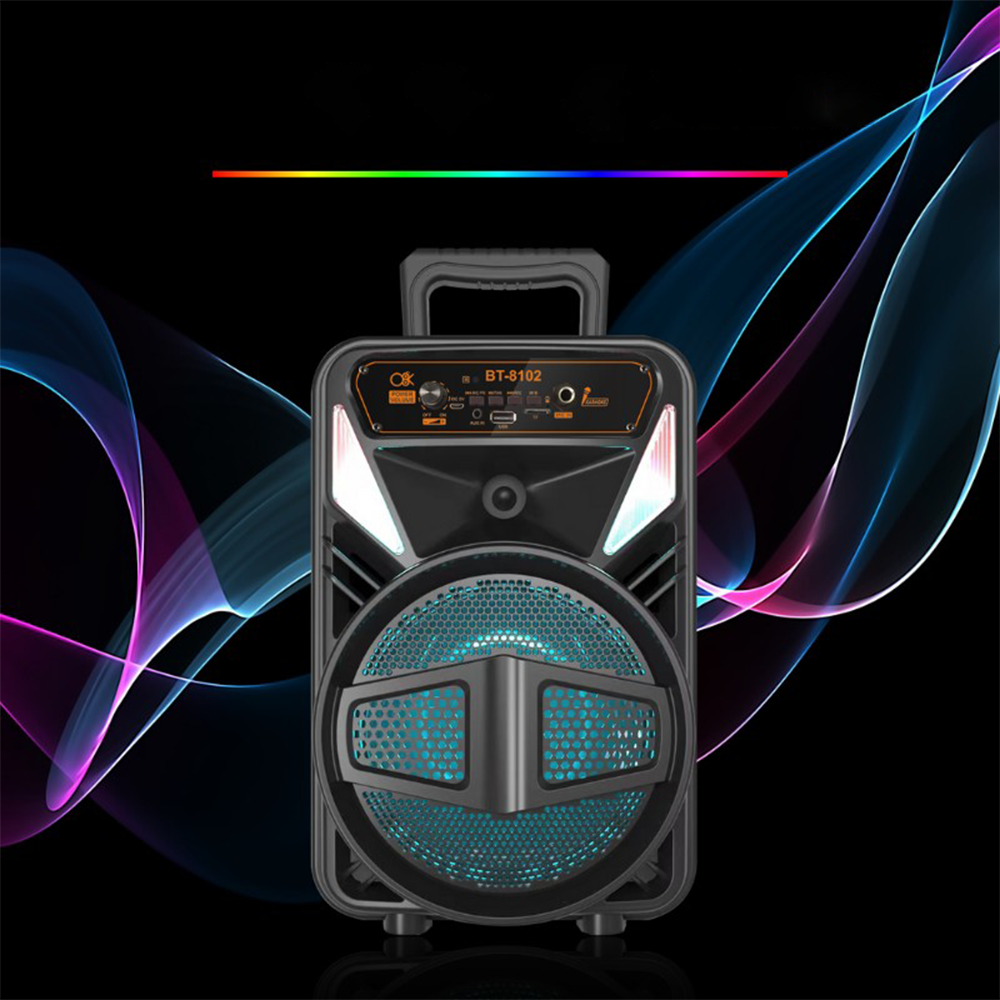 Cassa Bluetooth Portatile Karaoke 15W