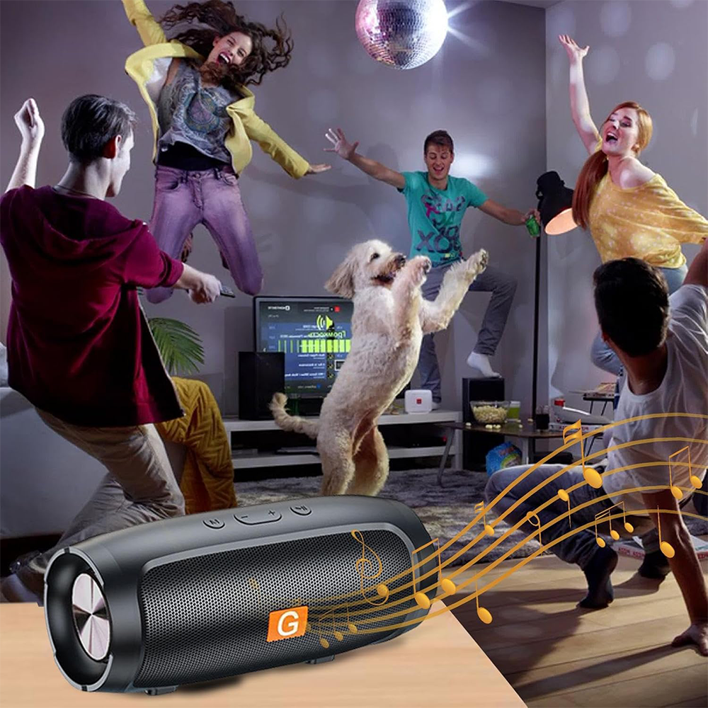 Altoparlante Bluetooth Portatile 6+ con Bassi Potenti e Autonomia Lunga Durata